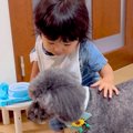 帰省中、実家の犬と…
