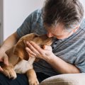 犬を飼うと死亡リス…