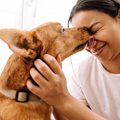 犬が『大好きな人』…