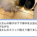 突然、夫からLINE→『…
