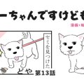 ちーちゃんですけど…