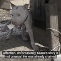 鎖につながれたまま…