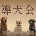 盲導犬が過ごしやす…