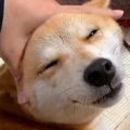 とんでもなく幸せそ…