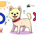 犬のサマーカットで…
