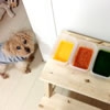 愛犬が病気になって…