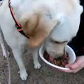 起きて！何処にいて…