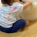 赤ちゃんと大型犬が…