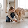 犬の『飲み水』を交…