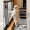 「ヒト入ってる？！…