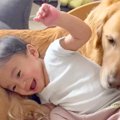 小さな男の子が大型…