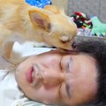 休日の朝、まだ眠い…