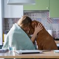 なぜ犬は人が悲しん…