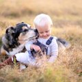 犬が何かを守ろうと…
