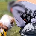 キャンプ場で『川に…