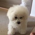 これは僕のです！わ…