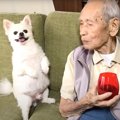 犬に『じーちゃん帰…