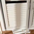 『なにやら玄関で音…
