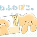 ふわふわぽこ。【第4…