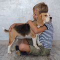 犬と飼い主の間に『…