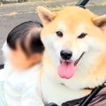 友達の赤ちゃんが遊…