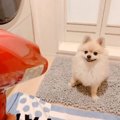 ドライヤー待ちから…