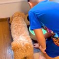 犬がドッグフードに…