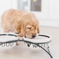 犬に絶対NGな『食用…