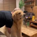 お風呂嫌いの大型犬 …