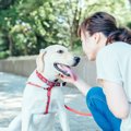 愛犬との絆を深める…