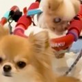 歩くことができない…