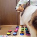 『お仕事やめてほし…