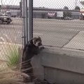 すぐ横は高速道路…ヒ…