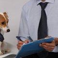 政治家の愛犬は当選…