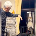 秋田犬に『りんご』…