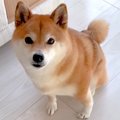 4歳の女の子が起きる…