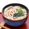 犬はうどんを食べて…