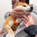 病院で怖がらずに注…
