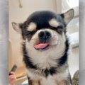 ひゃっはー！からの…