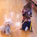検証！？お猿さんは…