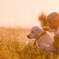 今一度考えよう犬と…