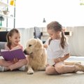 犬にも『本の読み聞…