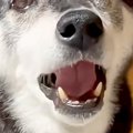 パパのことが大好き…