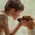 犬に『ありがとう』…