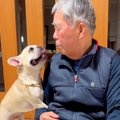 犬を連れて実家に帰…