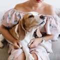 愛犬が『膝に乗って…