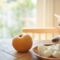 愛犬と一緒に味わえ…