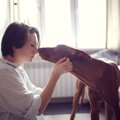 『家族思いの犬』が…