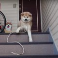 これは無理ですね。…