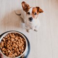 犬に絶対NGな『ご飯…